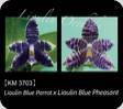 P. Lioulin Blue Parrot x LL Blue Pheasant 3703